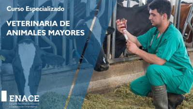 01.06.23 Curso : Animales Mayores