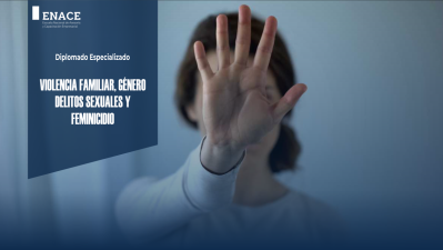 02.01.23 Violencia Familiar, género, delitos sexuales y feminicidio