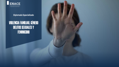03.04.23 Violencia Familiar, género, delitos sexuales y feminicidio