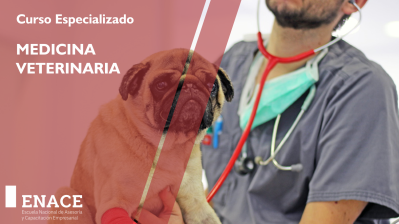 04.08.23 Curso : Medicina Veterinaria