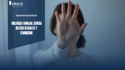 09.01.23 Violencia Familiar, género, delitos sexuales y feminicidio