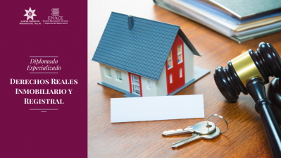 10. Diplomado de Derechos Reales Inmobiliario Y Registral 2020