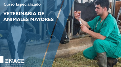 13.04.23  ANIMALES MAYORES