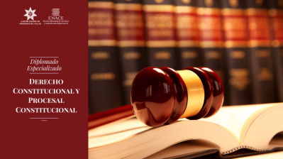 2. DERECHO CONSTITUCIONAL Y PROCESAL CONSTITUCIONAL 2020