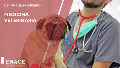 31.12.22 CURSO : MEDICINA VETERINARIA