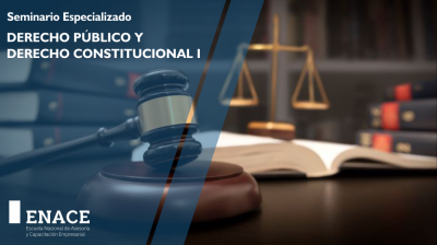 Seminario: Derecho Público y Derecho Constitucional I